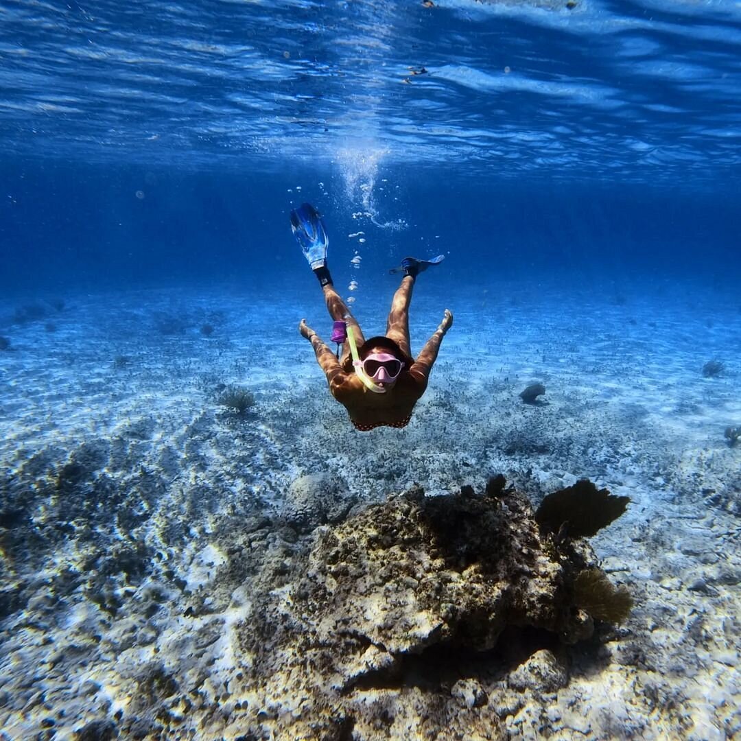 Snorkel seguro en SkyReef
